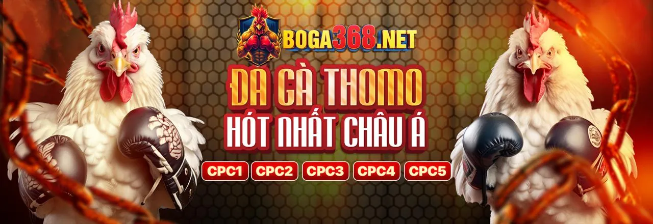 Đá gà trực tuyến kịch tính tại L88